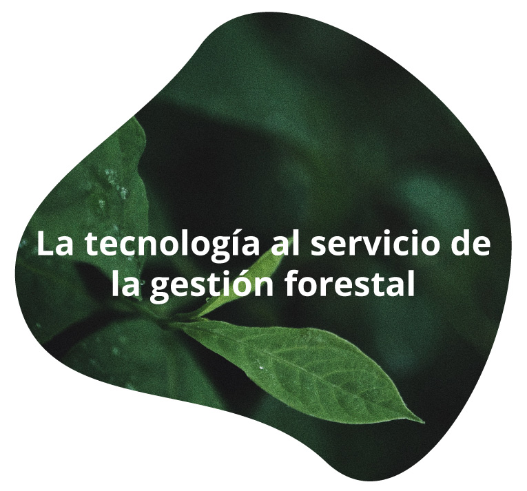 La tecnología al servicio de la gestión forestal